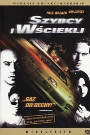 Szybcy i Wściekli 1 Cały Film [2001] Oglądaj Online na VOD!