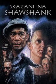 Skazani na Shawshank Cały Film (1994) Gdzie Oglądać Online?