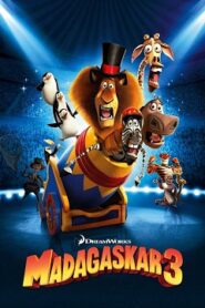 Madagaskar 3 Cały Film (2012) Obejrzyj Online na VOD!