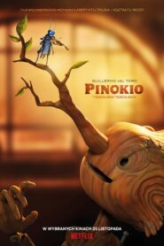 Guillermo del Toro: Pinokio • Cały film • Gdzie obejrzeć online?