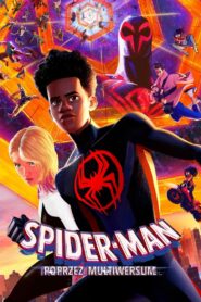 Spider-Man: Poprzez multiwersum • Cały film • Gdzie obejrzeć online?