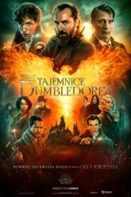 Fantastyczne zwierzęta: Tajemnice Dumbledore’a • Cały film • Gdzie obejrzeć online?