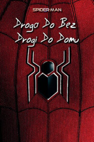 Spider-Man: Droga do Bez drogi do domu • Cały film • Gdzie obejrzeć online?