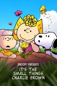 Snoopy przedstawia: Małe rzeczy, duża sprawa, Charlie Brownie • Cały film • Gdzie obejrzeć online?