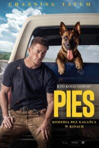 Pies • Cały film • Gdzie obejrzeć online?