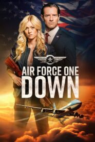 Air Force One Down • Cały film • Gdzie obejrzeć online?