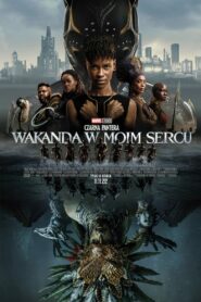 Czarna Pantera: Wakanda w moim sercu • Cały film • Gdzie obejrzeć online?