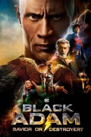 Black Adam: Saviour or Destroyer? • Cały film • Gdzie obejrzeć online?