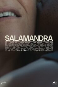 Salamandra • Cały film • Gdzie obejrzeć online?