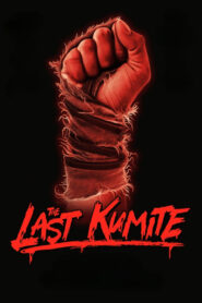 The Last Kumite • Cały film • Gdzie obejrzeć online?