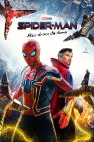 Spider-Man: Bez drogi do domu • Cały film • Gdzie obejrzeć online?