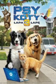 Psy i koty 3: Łapa w łapę • Cały film • Gdzie obejrzeć online?