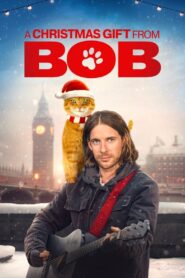 Świąteczny prezent od kota Boba • Cały film • Gdzie obejrzeć online?