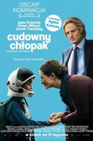 Cudowny chłopak • Cały film • Gdzie obejrzeć online?