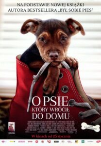 O psie, który wrócił do domu • Cały film • Gdzie obejrzeć online?