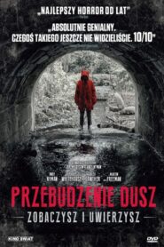 Przebudzenie dusz • Cały film • Gdzie obejrzeć online?