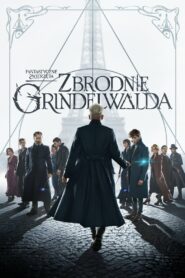 Fantastyczne zwierzęta: Zbrodnie Grindelwalda • Cały film • Gdzie obejrzeć online?