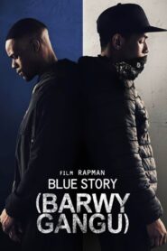 Barwy gangu • Cały film • Gdzie obejrzeć online?