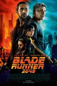 Blade Runner 2049 • Cały film • Gdzie obejrzeć online?