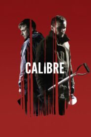 Kaliber • Cały film • Gdzie obejrzeć online?