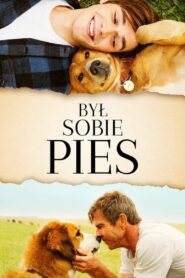 Był Sobie Pies • Cały film • Gdzie obejrzeć online?