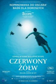 Czerwony żółw • Cały film • Gdzie obejrzeć online?