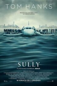 Sully • Cały film • Gdzie obejrzeć online?