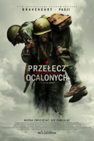 Przełęcz ocalonych • Cały film • Gdzie obejrzeć online?